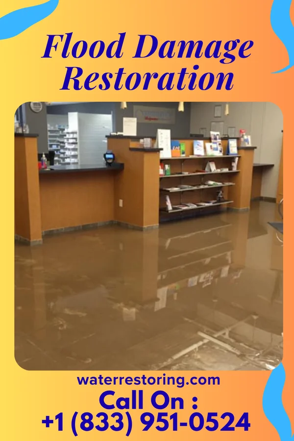 Flood Damage Restoration in Broadwell, IL