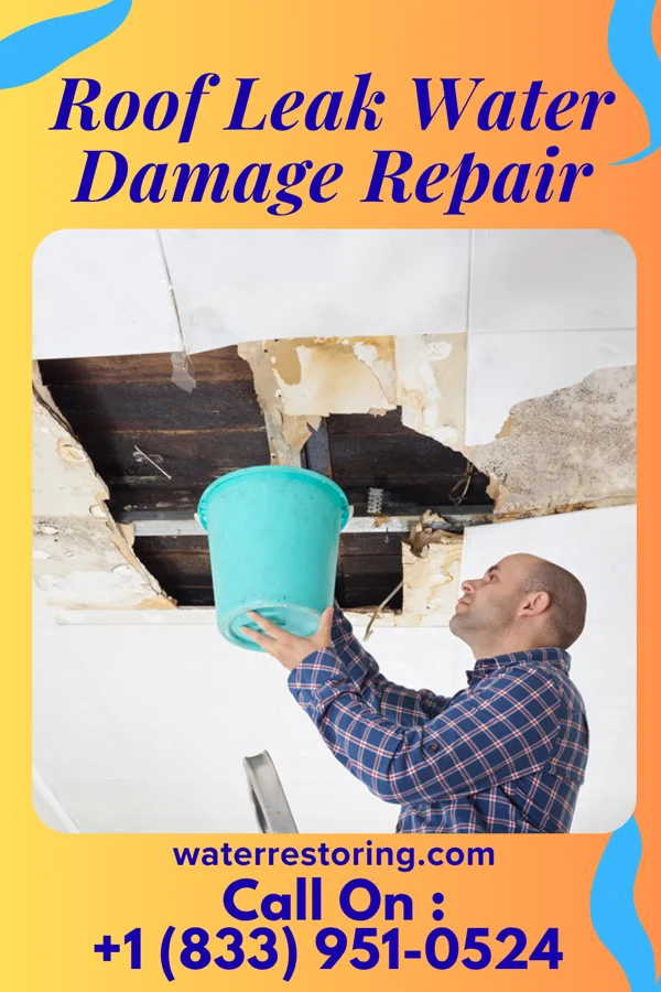 Roof Leak Water Damage Repair in Broadwell, IL